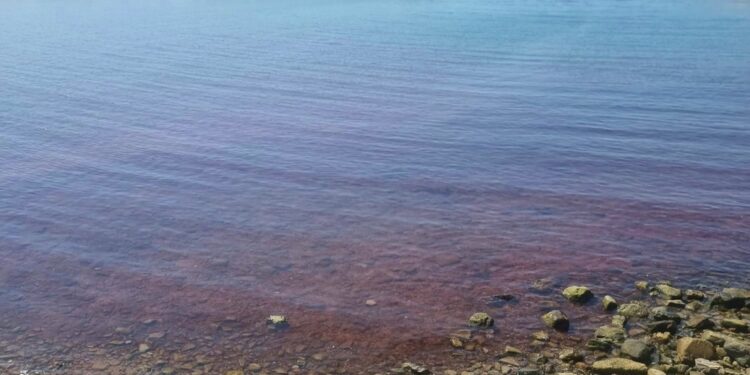 A S.Stefano al mare