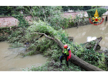 Strade chiuse e alberi caduti per il forte vento