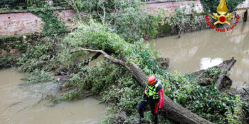 Strade chiuse e alberi caduti per il forte vento