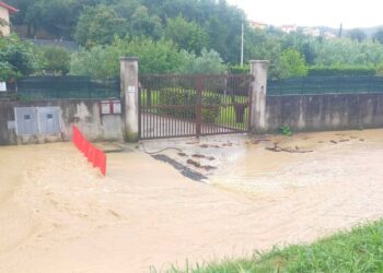 Disagi per la pioggia in diverse zone di Muggia e San Dorligo