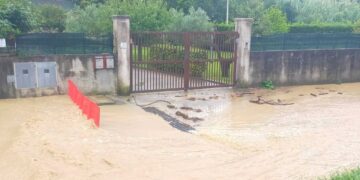 Disagi per la pioggia in diverse zone di Muggia e San Dorligo