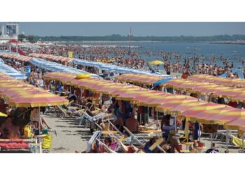 'Impatti pesanti sulla biodiversità del mare'