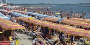 'Impatti pesanti sulla biodiversità del mare'