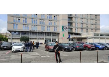 Decisione Gip che parla di "violenta personalità" degli indagati