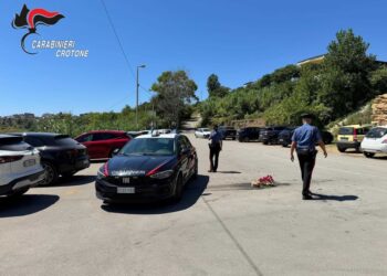 Ha fatto trovare il coltello con cui ha commesso l'omicidio