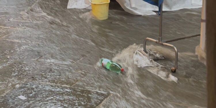 Corso Italia come un fiume
