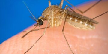 Il contagio ancora una volta nell'Oristanese