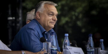 'Non è l'Ue a comprare gas