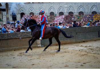 Ufficializzate le accoppiate cavallo-fantino