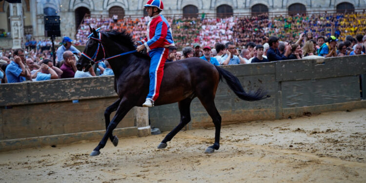 Ufficializzate le accoppiate cavallo-fantino