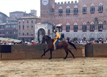Ultimo test in piazza del Campo prima della corsa nel pomeriggio