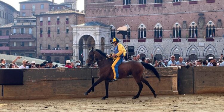 Ultimo test in piazza del Campo prima della corsa nel pomeriggio