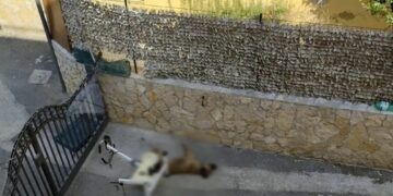 La denuncia di Borrelli (Avs):"Crudeltà disumana