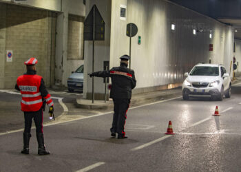 Ubriaco uccise 20enne scesa dall'auto per soccorrere un coniglio