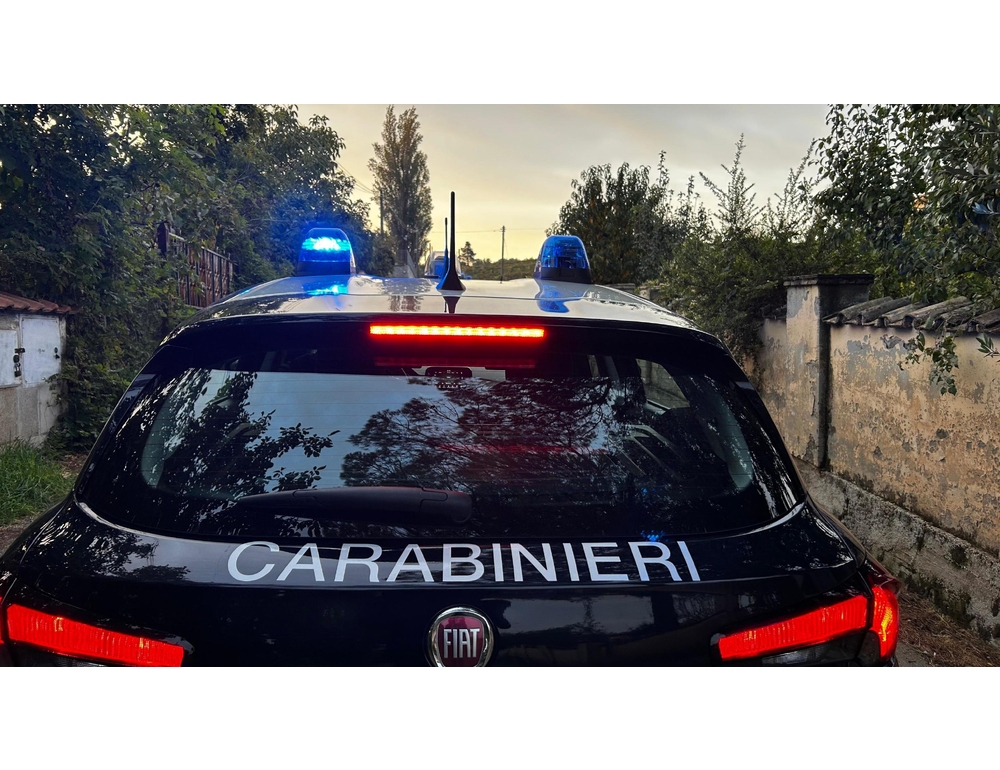 Per celebrare scarcerazione evade domiciliari, rimesso in cella
