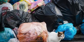 Bene le nuove norme del governo