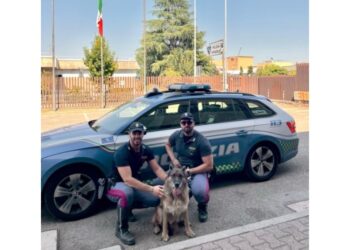 Luna ritrovata al casello di Borgo Panigale