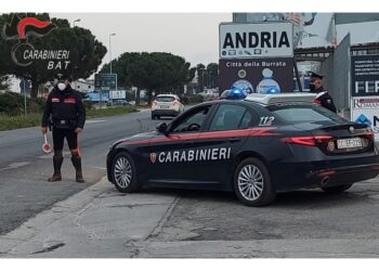 La vittima stava lavorando su un capannone industriale