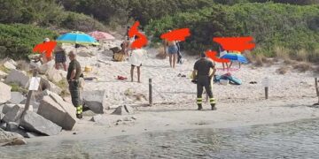 Guardie ambientali
