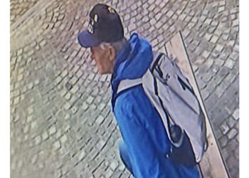 Avvistato dai soccorritori altoatesini in una zona impervia