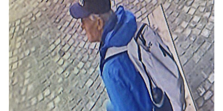 Avvistato dai soccorritori altoatesini in una zona impervia