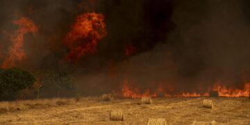Cinque persone fermate dalle forze di sicurezza nelle ultime ore