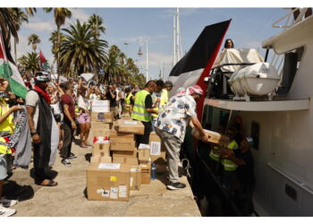 Venti imbarcazioni con aiuti e circa 300 attivisti a bordo