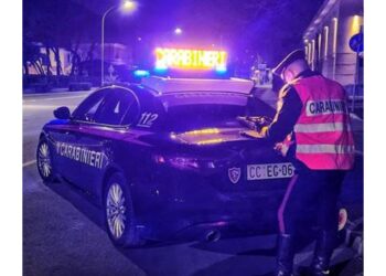 Fugge da Forte dei Marmi a Marina Massa dove sbatte in rotonda