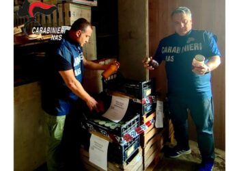 Nei guai azienda bolognese. Sospesa l'attività di produzione