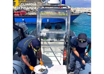 Operazione della Guardia di Finanza di Termoli