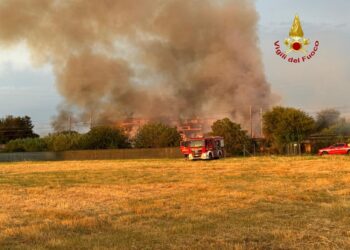 Nel tratto tra Grosseto e Alberese