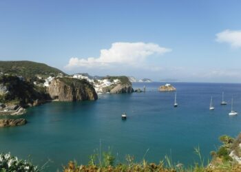 I 15 panetti erano custoditi in una busta impermeabile in acqua