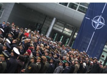 L'Alleanza ha rilasciato i dati preliminari per il 2025
