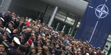 L'Alleanza ha rilasciato i dati preliminari per il 2025