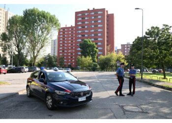 Uomo bloccato dai carabinieri