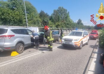 Mortale via Varesina