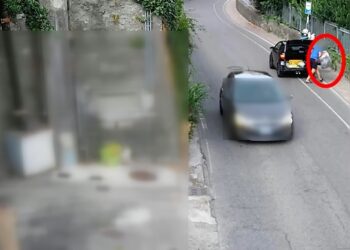 fototrappole Como