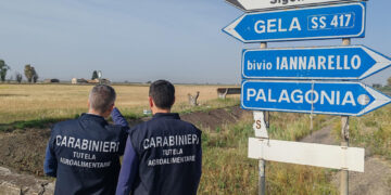 Mezzi dedicati al rifornimento carburante e trasporto merci