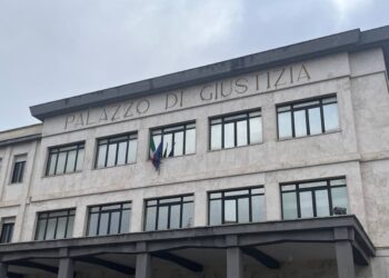 Il difensore