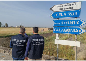 Mezzi dedicati al rifornimento carburante e trasporto merci