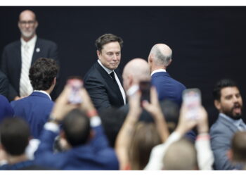 Elon