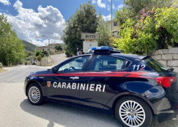 I malviventi hanno agito attorno alle 7 in centro a Bitti