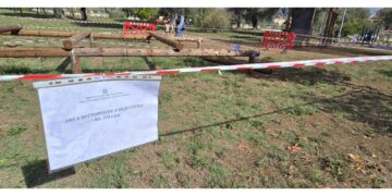 A Vibo Valentia. Piccolo ricoverato con prognosi riservata