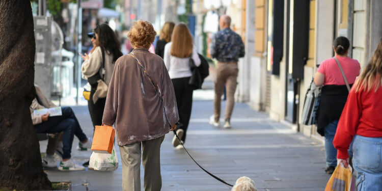 In vista in Alto Adige anche il ritorno della tassa per i cani