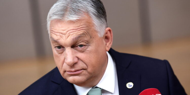'Non ci arrenderemo. Criminale pericolosa