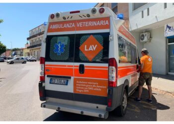 A ogni componente della famiglia un risarcimento di 1500 euro