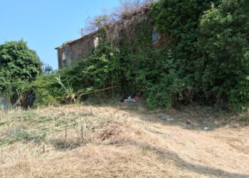 Altri soggetti avrebbero agito in concorso con Frumuzache