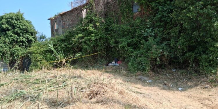 Altri soggetti avrebbero agito in concorso con Frumuzache