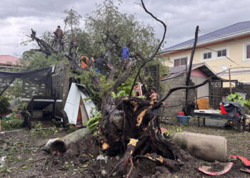 Oltre 400mila gli evacuati a Shenzhen