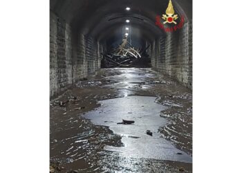 Numerosi gli interventi dei vigili del fuoco